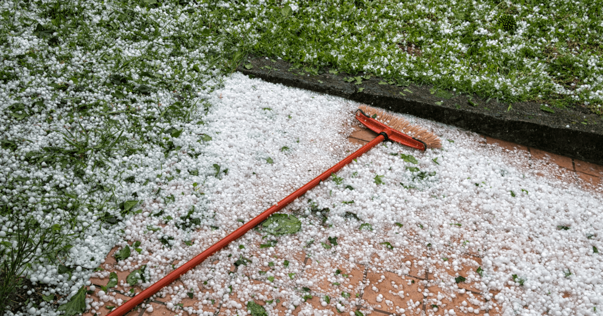 Hail on garden path